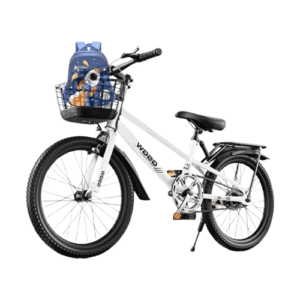 Kids Mountain Bike with Back Seat 20inch